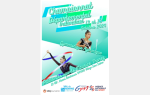 Championnat départemental individuel